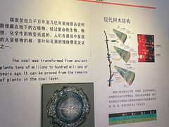 -万达广场(龙湖店)