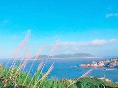 -东极岛景区