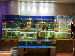水产区-好彩海鲜火锅饭店(银河百老汇店)