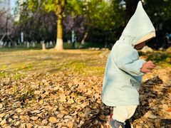 -苏州河梦清园环保主题公园