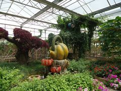 景点-观光南瓜园