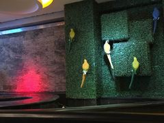 -歌迷量贩KTV(光彩市场店)