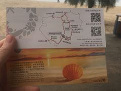 -贝壳梦幻世界