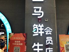 门面-盒马鲜生(皇庭广场店)