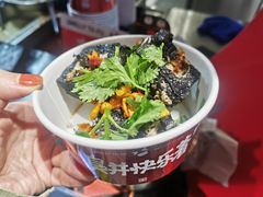 -黑色经典臭豆腐·湖南特产(步行街店)