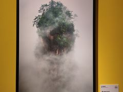-中海环宇荟