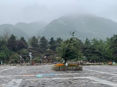 -西安秦岭野生动物园