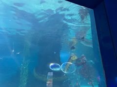 -常州海昌海洋探索馆