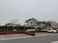 停车场-海鸥岛