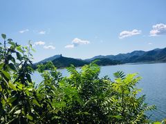 -望湖烤鱼