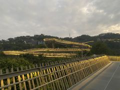 -福道