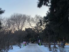 -北陵公园