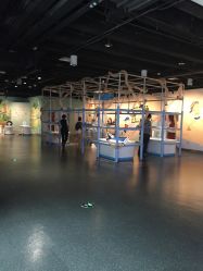 -北京科学中心儿童乐园