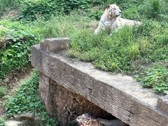 -宁波野生动物园