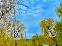 -黄帝陵