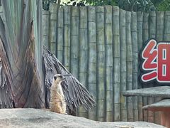 -深圳野生动物园