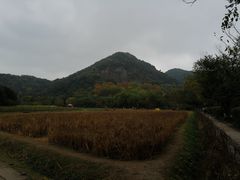 -八卦田遗址公园