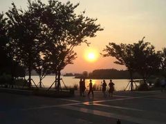 -东湖落雁景区