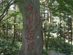 -庐山风景区花径公园