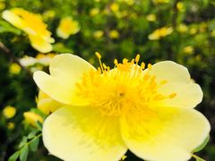 -天津东丽湖风景区