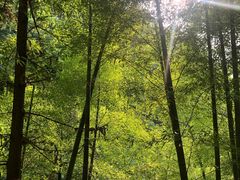 -藏龙百瀑风景区