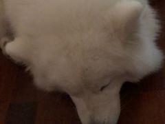-瑞幸咖啡(平安滨江金融中心店)