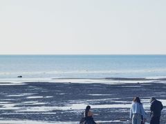 -营口金泰珑悦海景大酒店