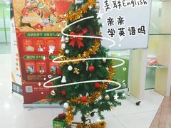 -美联英语(绿宝中心)