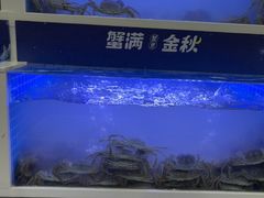 -蟹状元大闸蟹·年货·粽子(成都成华店)
