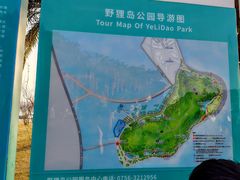 -野狸岛