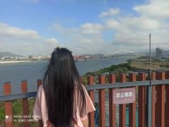 -芒洲湿地公园