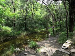 -碓臼峪自然风景区