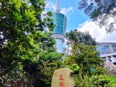 -梧桐山风景名胜区