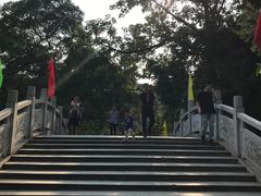 -小洲村