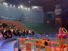 -烟台海昌鲸鲨海洋公园