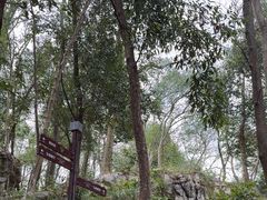 -灵隐飞来峰景区