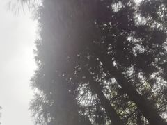 -华蓥山天意谷景区