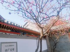 -北京湖广会馆