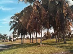 -北海金海湾红树林生态旅游区