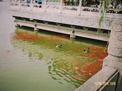 -迎泽公园