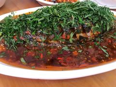 特色藿香鱼-老字号怡玺·藿香雅鱼(20年雅安店)