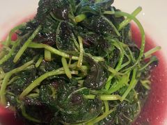 -小厨娘淮扬菜(清江苏宁广场店)