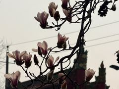 -碑林公园