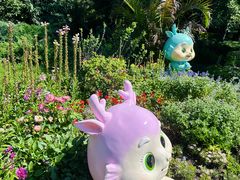 -国家植物园