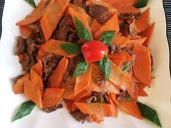 -爱月宝月嫂·育儿嫂