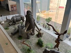 -中国第四纪冰川遗迹陈列馆