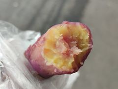 -大湾区中央湿地公园-十九涌