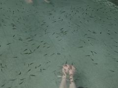 -三江森林温泉度假区