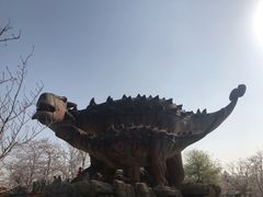 -顾村公园