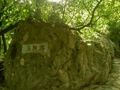 -阳台山自然风景区